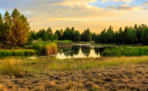 Sunriver Resort Custom Homes